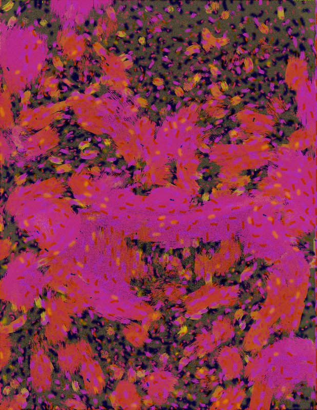 Alex Fischer, Alex, 2017-11-30